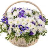 Корзина с хризантемой 026