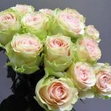 Букет из розово-персиковых роз — 043