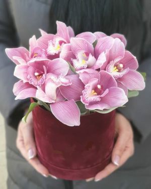 Шляпная коробка 478