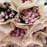 Тюльпан нежно- розовый 811