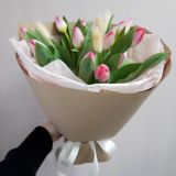 Букет из 17 розовых тюльпанов и лагуруса — 586