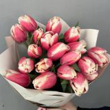 Тюльпан двухцветный 812
