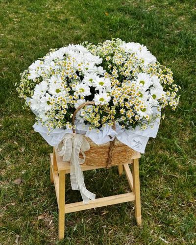 Корзина с ромашками цветами 469