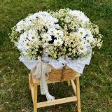 Корзина с ромашками цветами 469