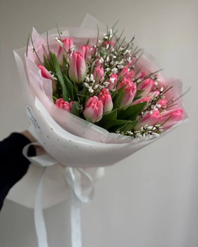 Букет из 19 тюльпанов и генисты- 813