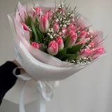 Букет из 19 тюльпанов и генисты- 813