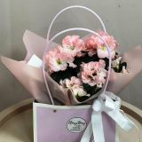 Горшечное растение Азалия в кашпо 806