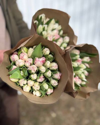 Букет из 29 махровых розовых тюльпанов- 1054