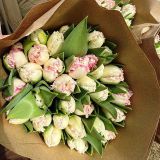 Букет из 29 махровых розовых тюльпанов- 1054