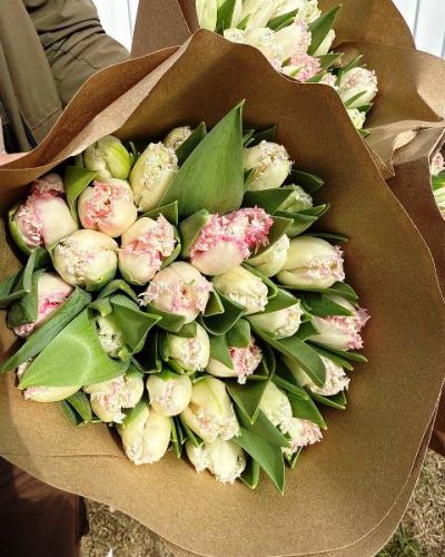 Букет из 29 махровых розовых тюльпанов- 1054