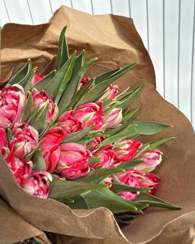 Букет из 27 пионовидных тюльпанов 399
