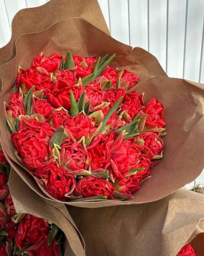Букет из 25 пионовидных тюльпана 212