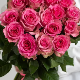 Букет из 15 розовых роз 1080