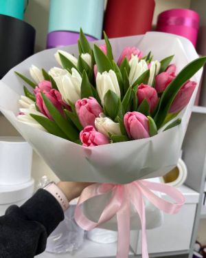 Букет сборный из 25 розовых и белых тюльпанов 247