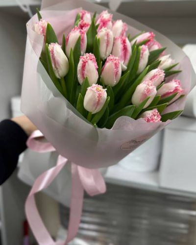 Букет из 19 махровых розовых тюльпанов- 1054