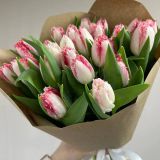 Букет сборный из 25 махровых тюльпанов -1051