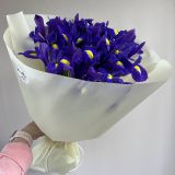 Букет из 21 ириса 808