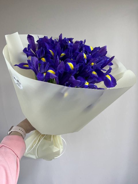 Букет из 21 ириса 808